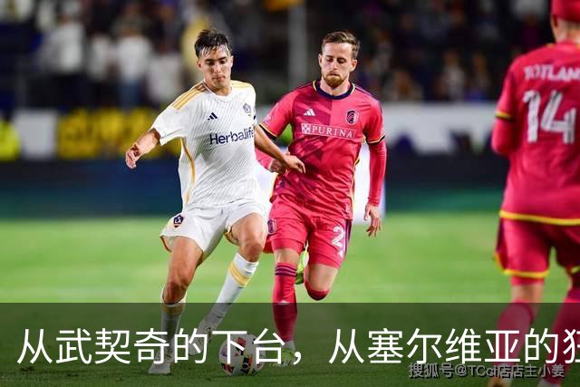 从武契奇的下台，从塞尔维亚的狂欢，来分析中国网友的眼界和素养